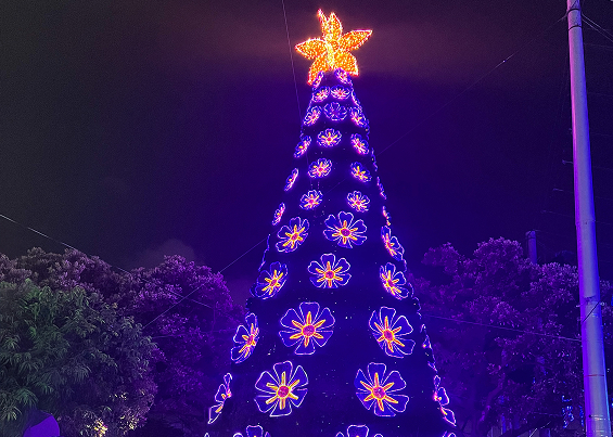 Fotografía del árbol de navidad en los alumbrados epm 2025