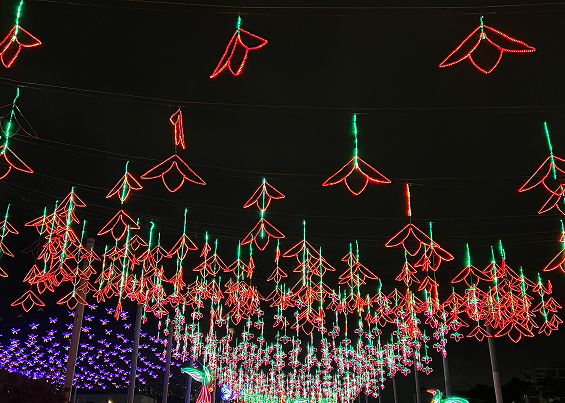 Alumbrado de flores colgantes