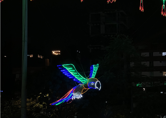 Alumbrado de aves: loros de colores