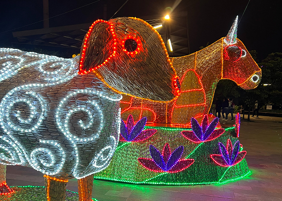 Alumbrado del pesebre tradicional colombiano