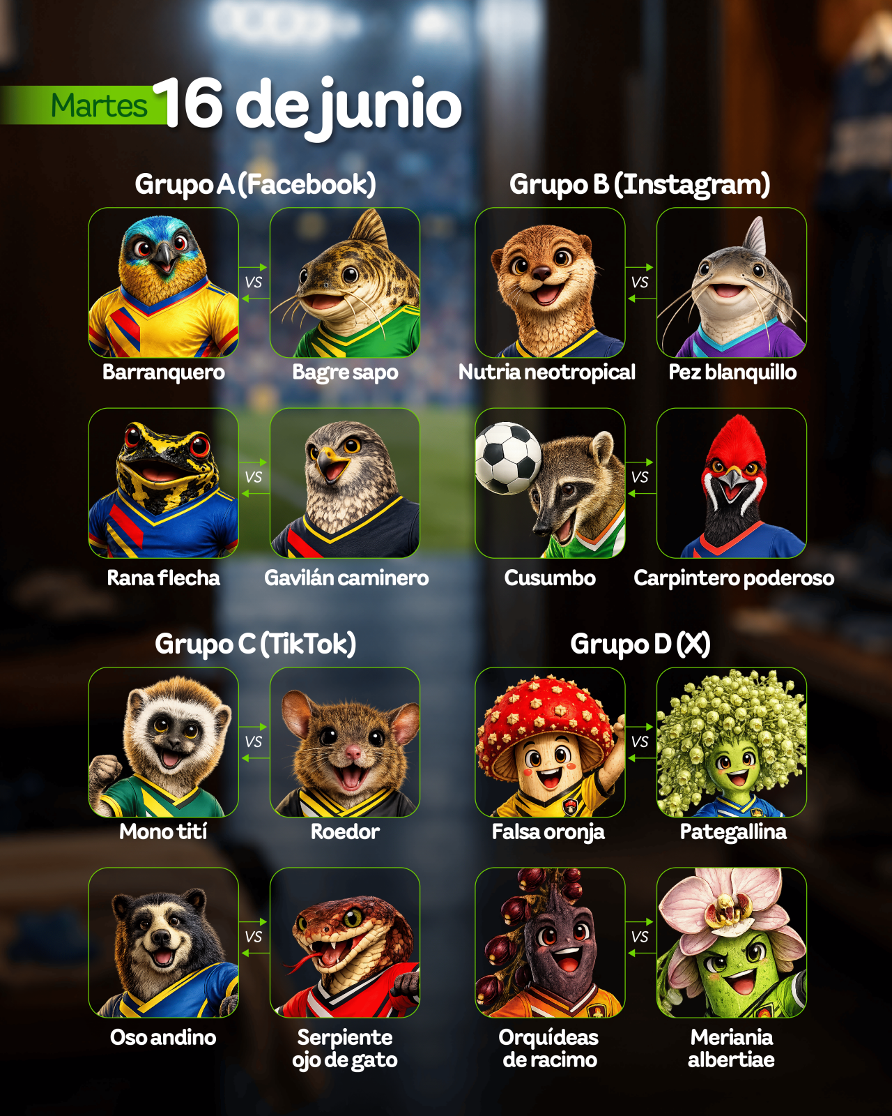 Enfrentamientos programados del grupo A en facebook, grupo B en Instagram, grupo C en Tiktok y grupo de en X