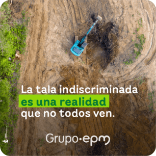 Fotografía donde se ve la tala de árboles