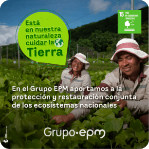 Trabajadores de EPM trabajando cultivando plantas 