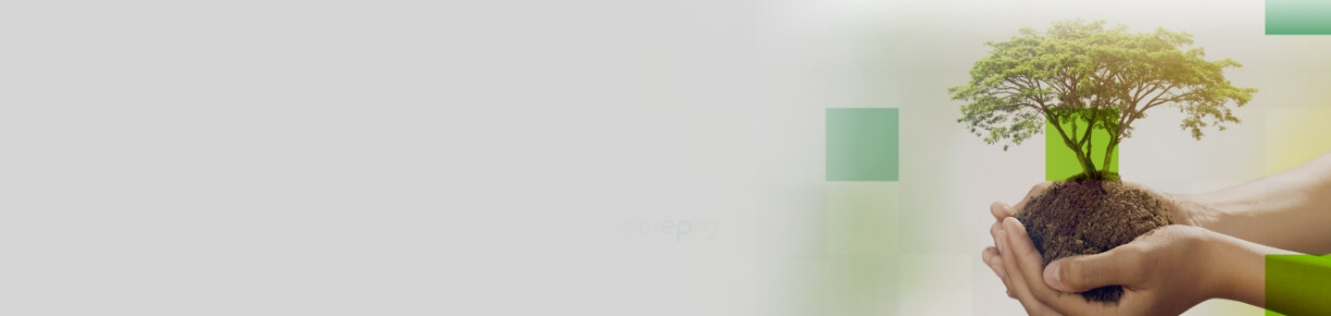 Manos sosteniendo un pequeño árbol con tierra