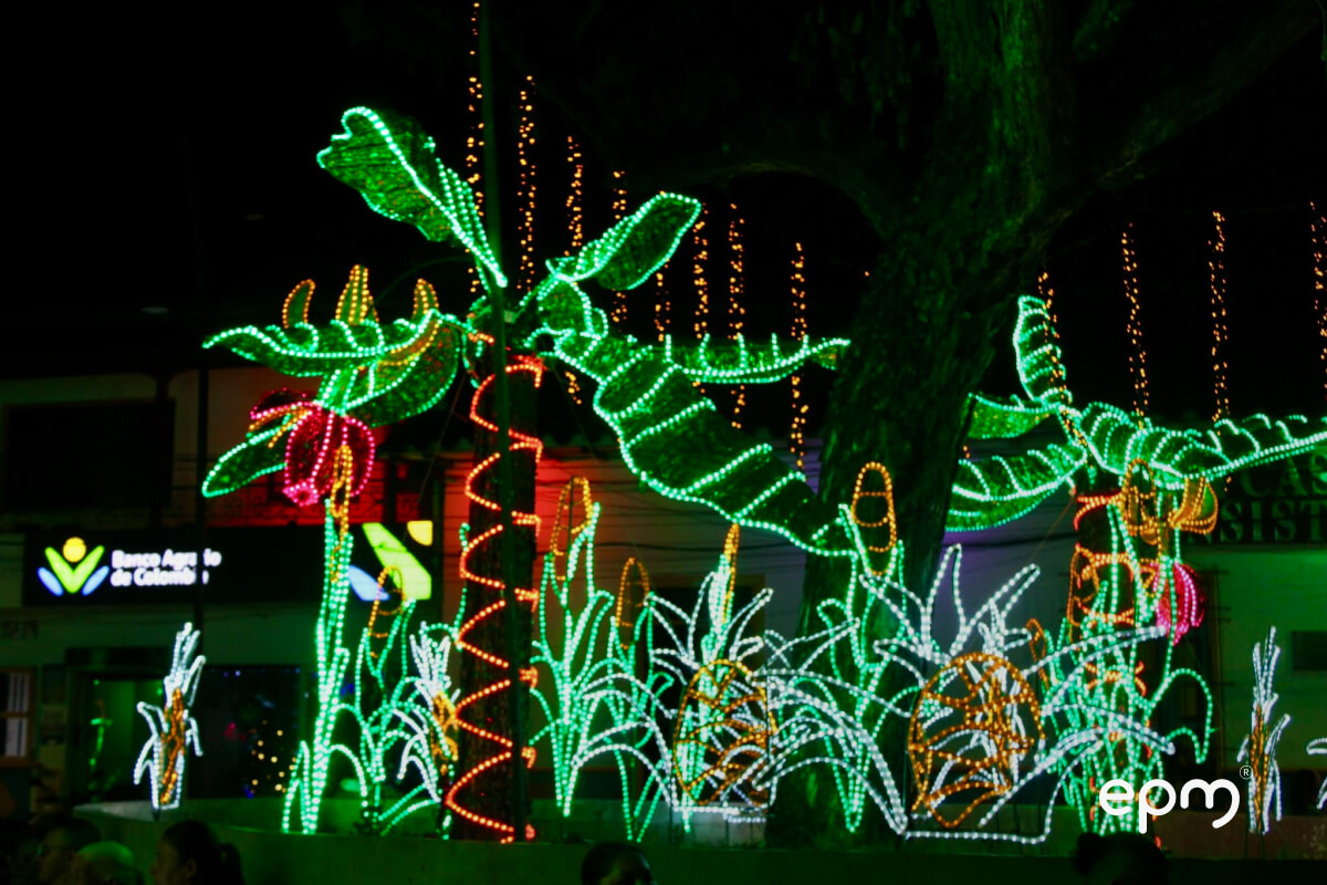 Fotografías de alumbrados navideños del municipio de Anzá