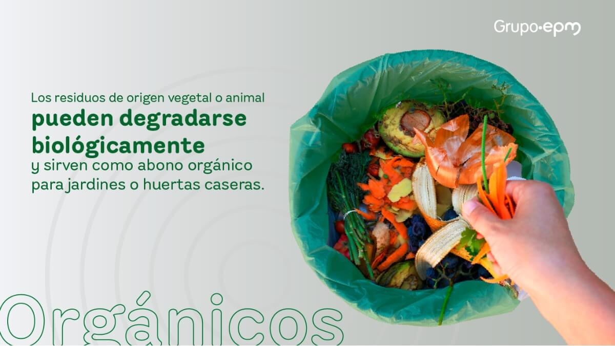 Campaña fácil separa 