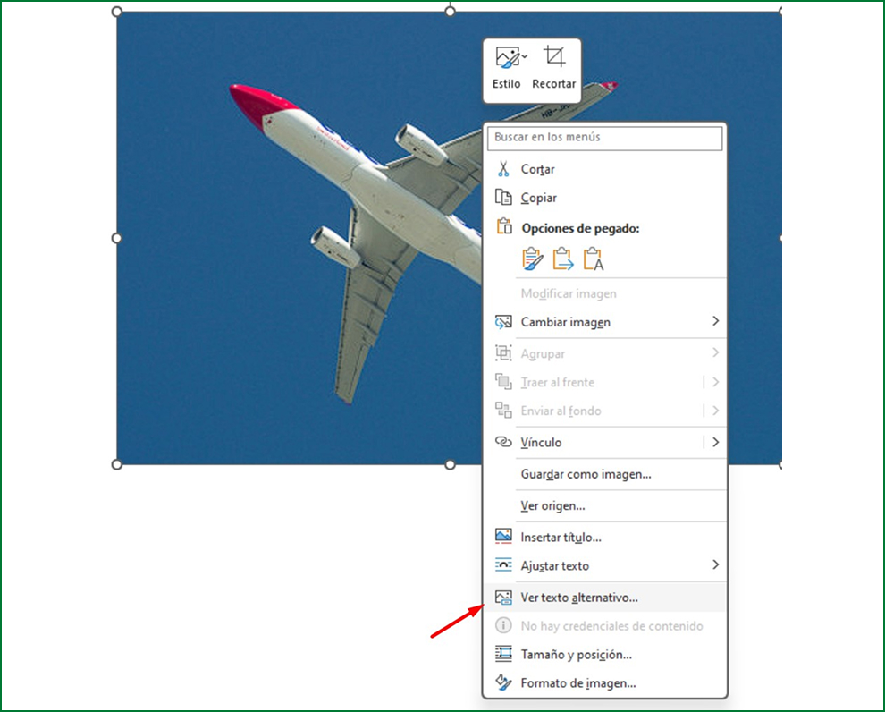Visualización de propiedades de una imagen en Word, flecha roja seleccionando: Ver texto alternativo