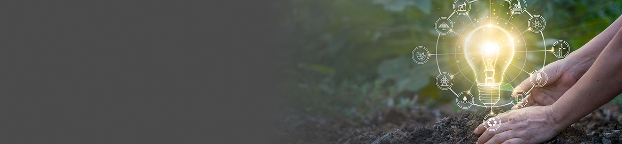 Manos sembrando una planta con ícono de bombillo brillante