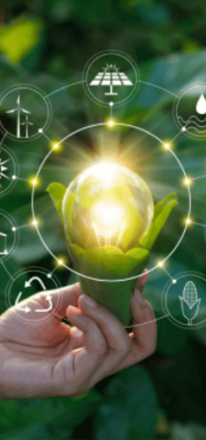 Mano sosteniendo una bombilla iluminada dentro de una planta, rodeada de íconos de energía y sostenibilidad sobre fondo verde natural.