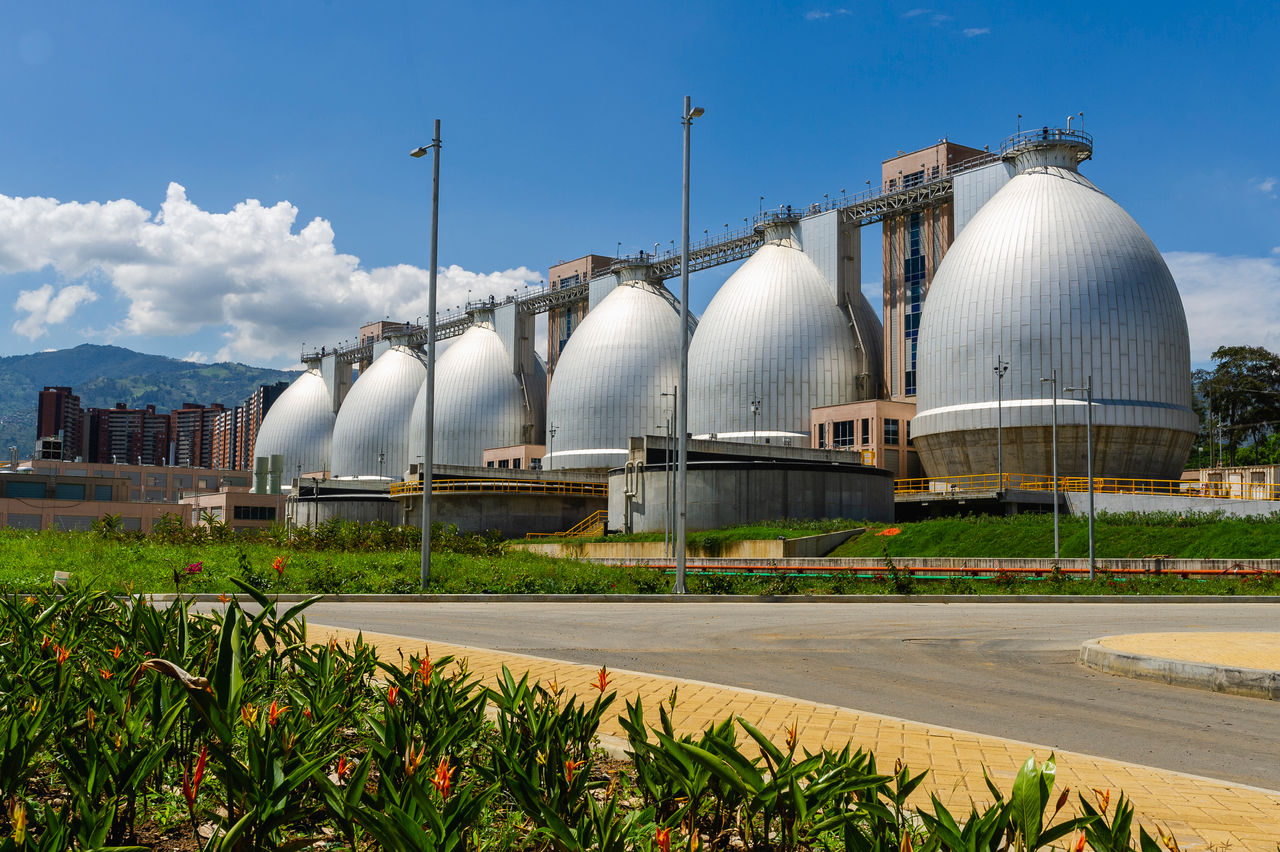 planta aguas