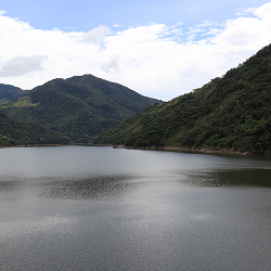 Conoce sobre la semana ambiental del Proyecto Ituango