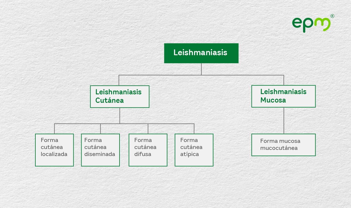 Flujograma 1: Clasificación clínica de la leishmaniasis