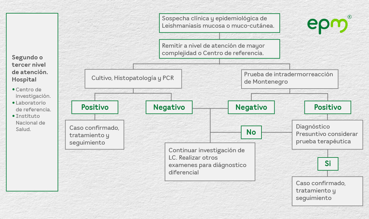 Flujograma 3: Diagnóstico de leishmaniasis cutánea por nivel de atención.