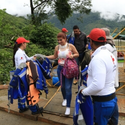 acceso gestion social