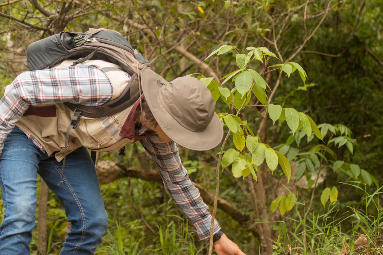 Fotografía de una persona con sombrero y mochila se inclina entre la vegetación densa.