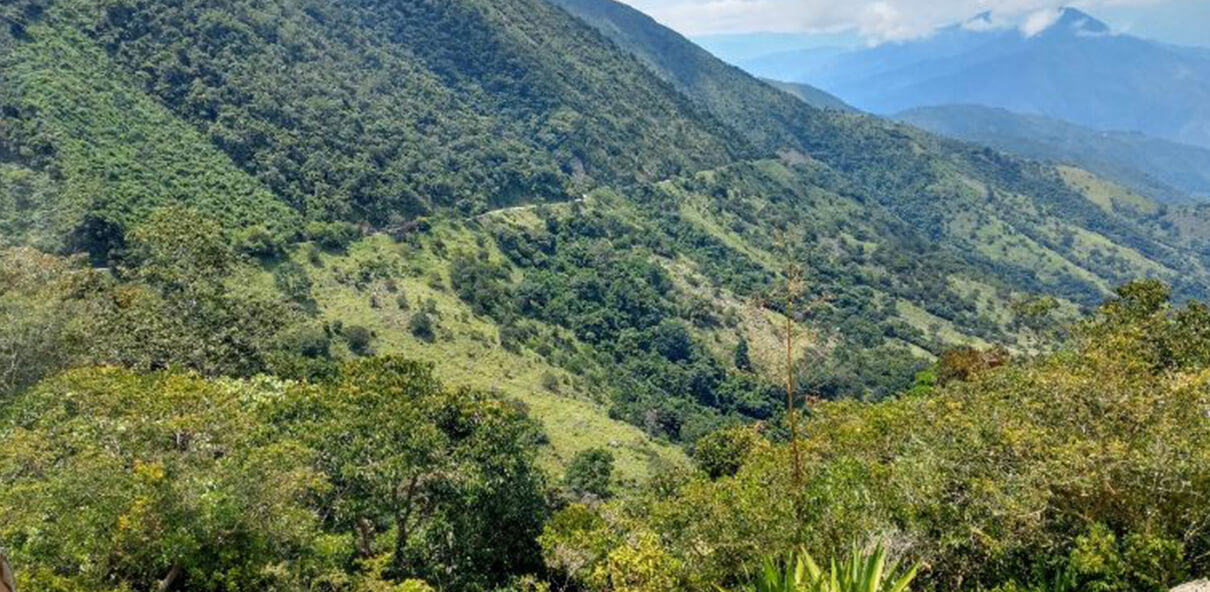 Fotografía de una zona montañosa con mucha vegetación verde 