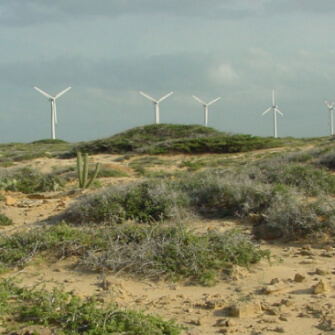 Vista de un paisaje árido con vegetación baja y varios aerogeneradores en el horizonte, bajo un cielo nublado