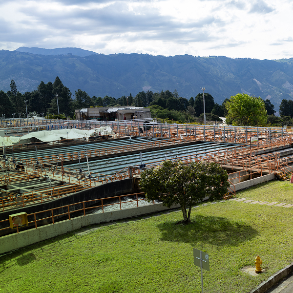 Fotografía de la planta de potabilización Manantiales