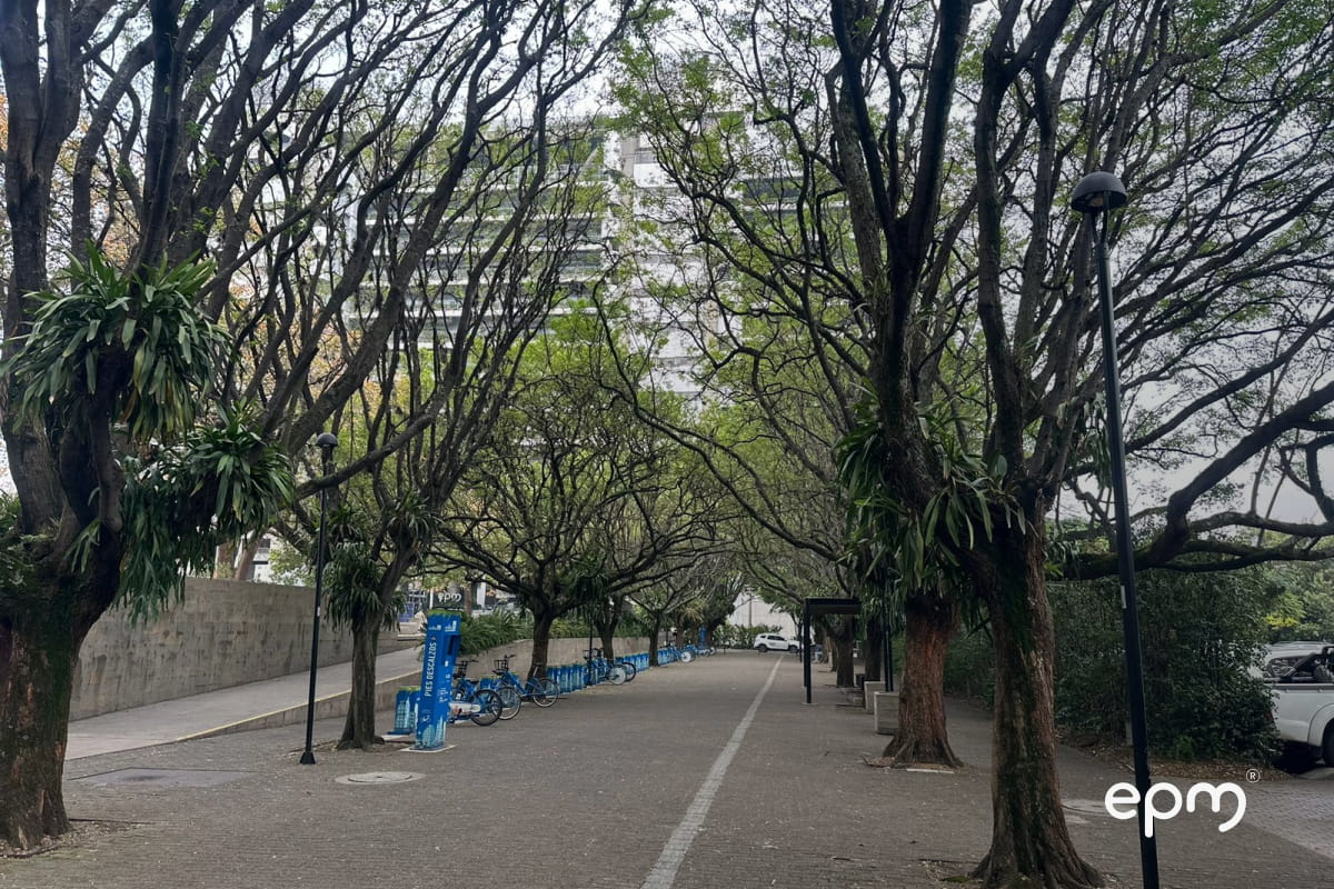 Jardín frente al edificio inteligente EPM