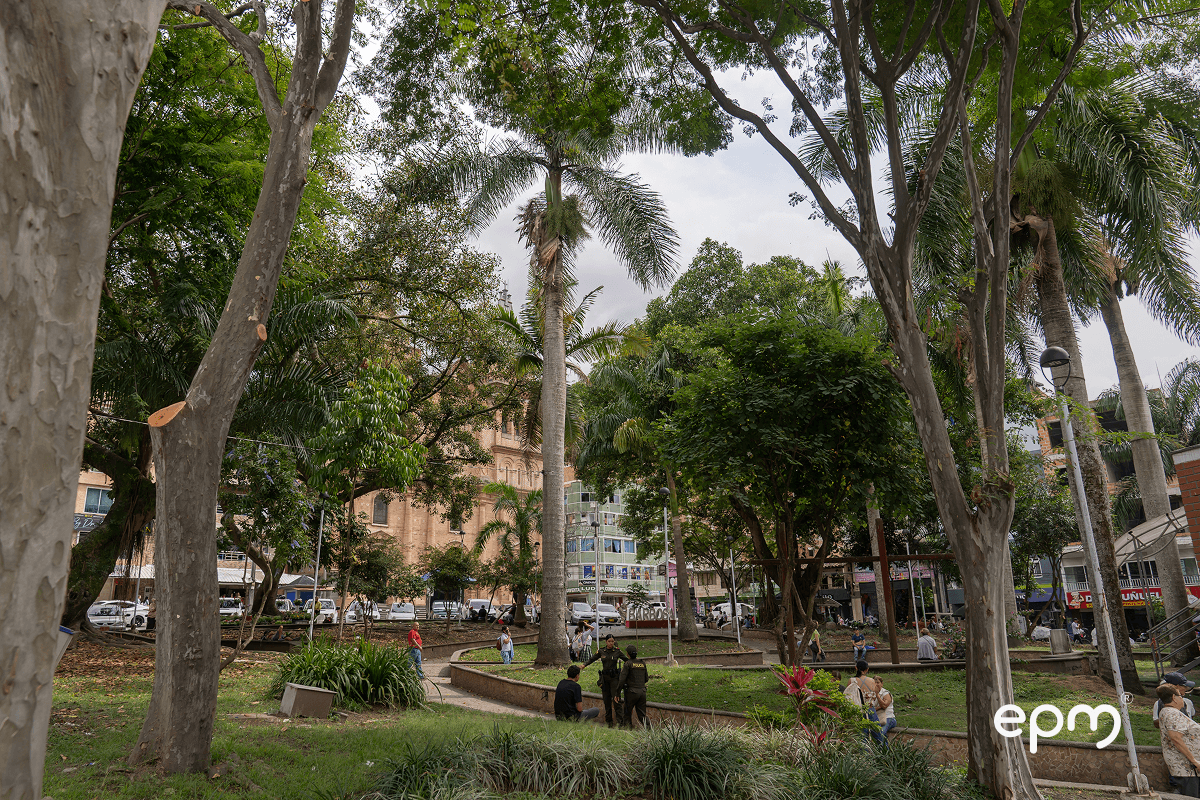 Fotografía de un parque urbano con árboles, personas y una iglesia al fondo