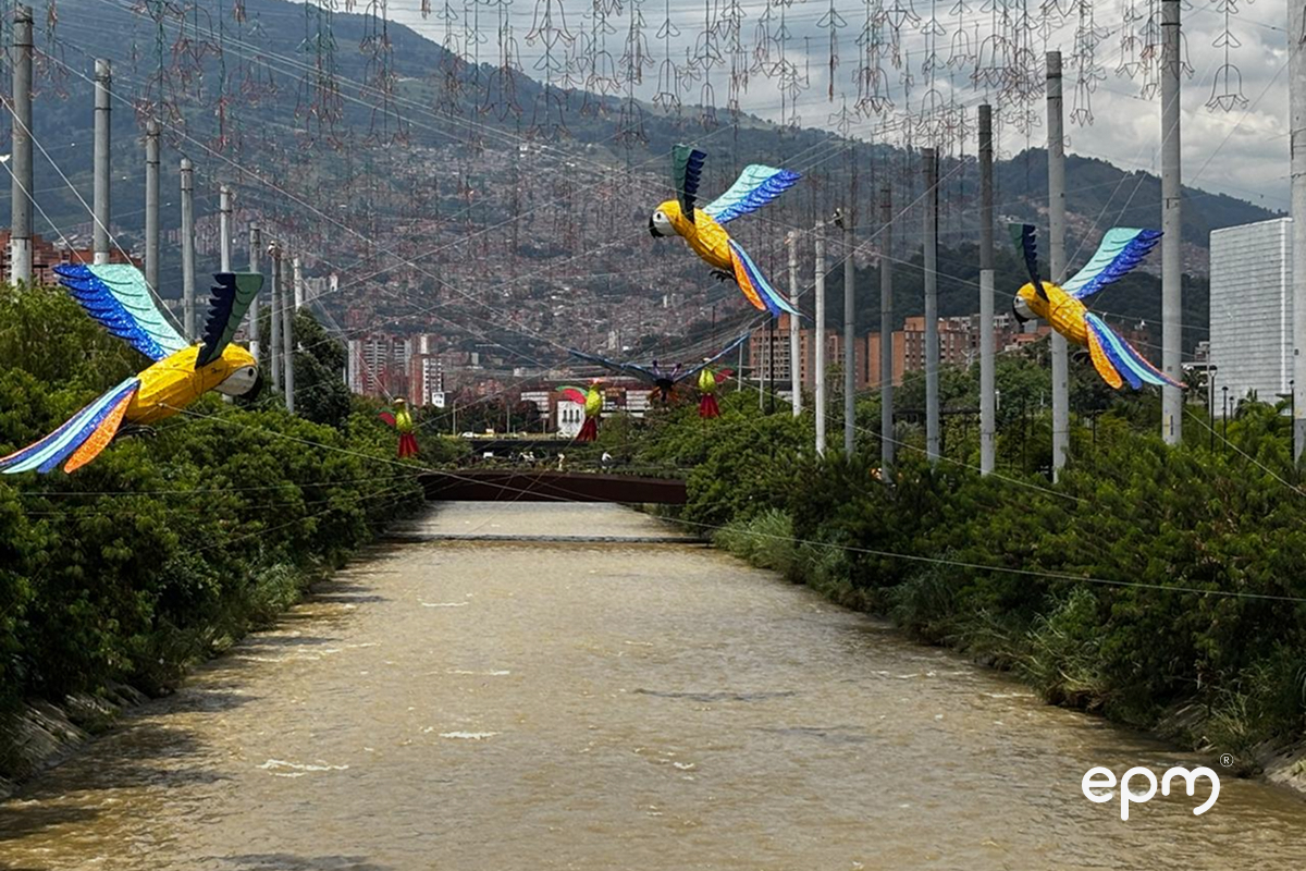 Figuras de pájaros en color azul y amarillo colgados sobre el río Medellín para los alumbrados de EPM