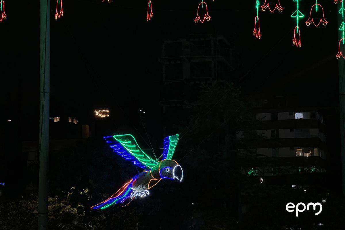 Figura de pájaro en color verde y azul de alumbrados navideños de EPM rodeado de luces en color rojo y verde