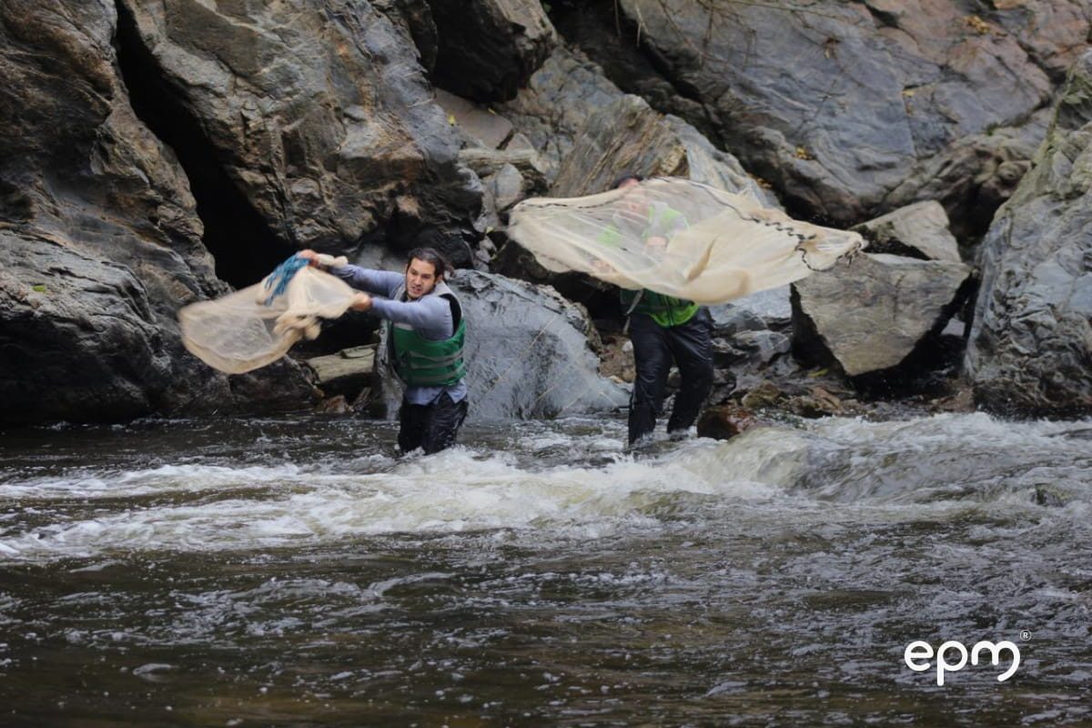 Dos hombres lanzando redes de pesca en un río