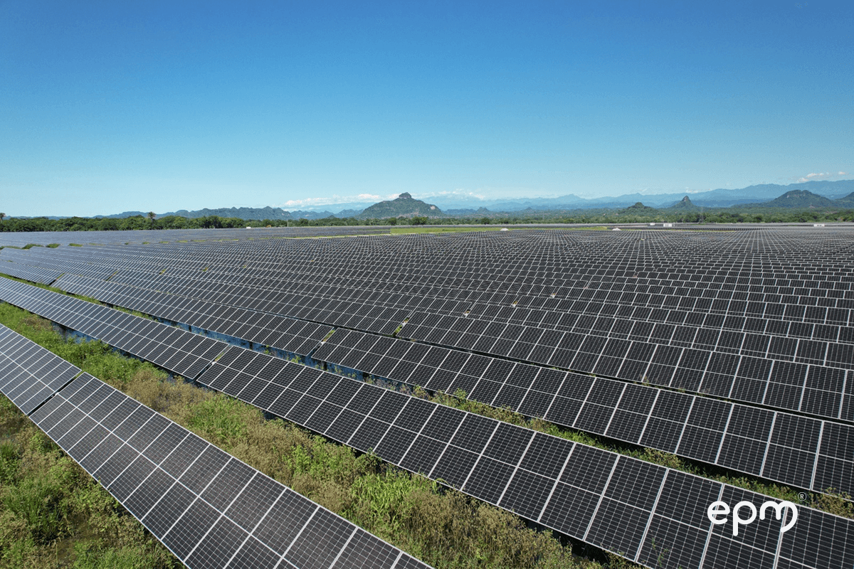 Fotografía de un campo solar con cientos de paneles fotovoltaicos instalados por EPM, con montañas al fondo bajo un cielo despejado.