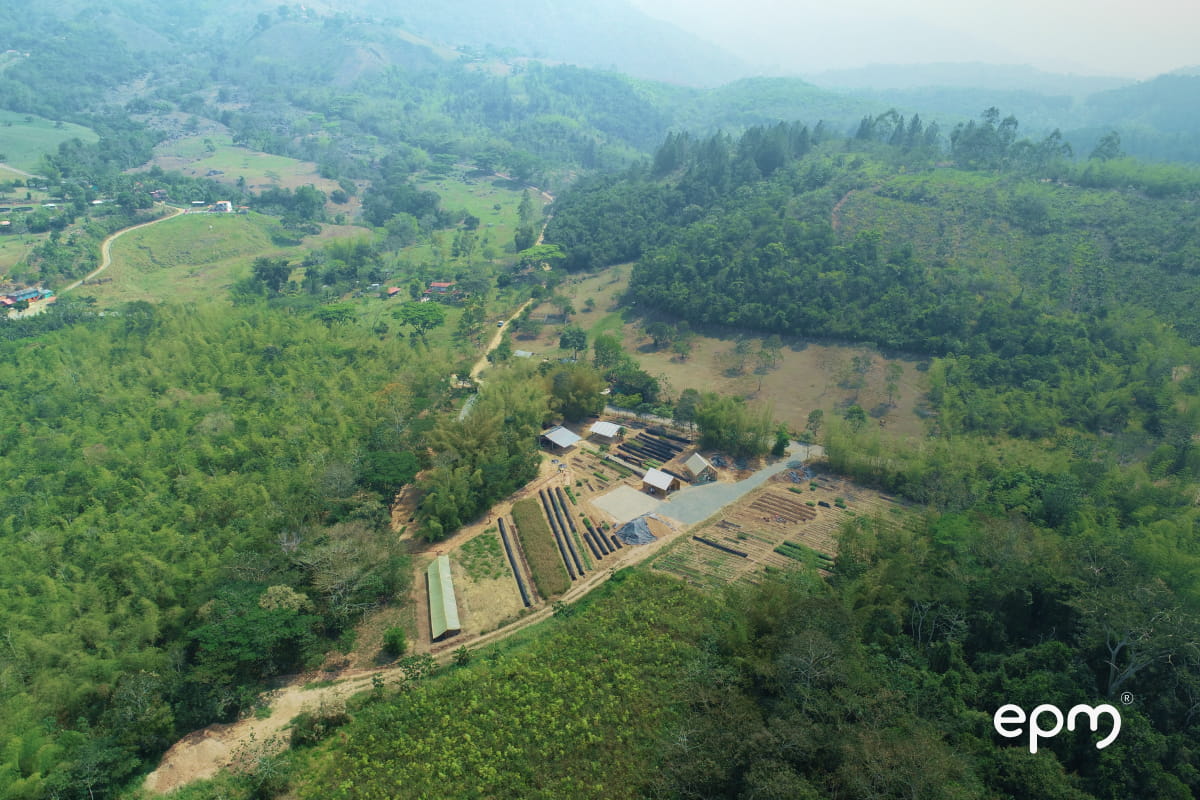 Vista aérea de vivero forestal de EPM en zona rural, dedicado a la producción de árboles para conservación ambiental.