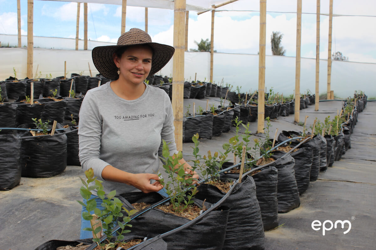 Mujer trabajando en siembra de árboles en vivero
