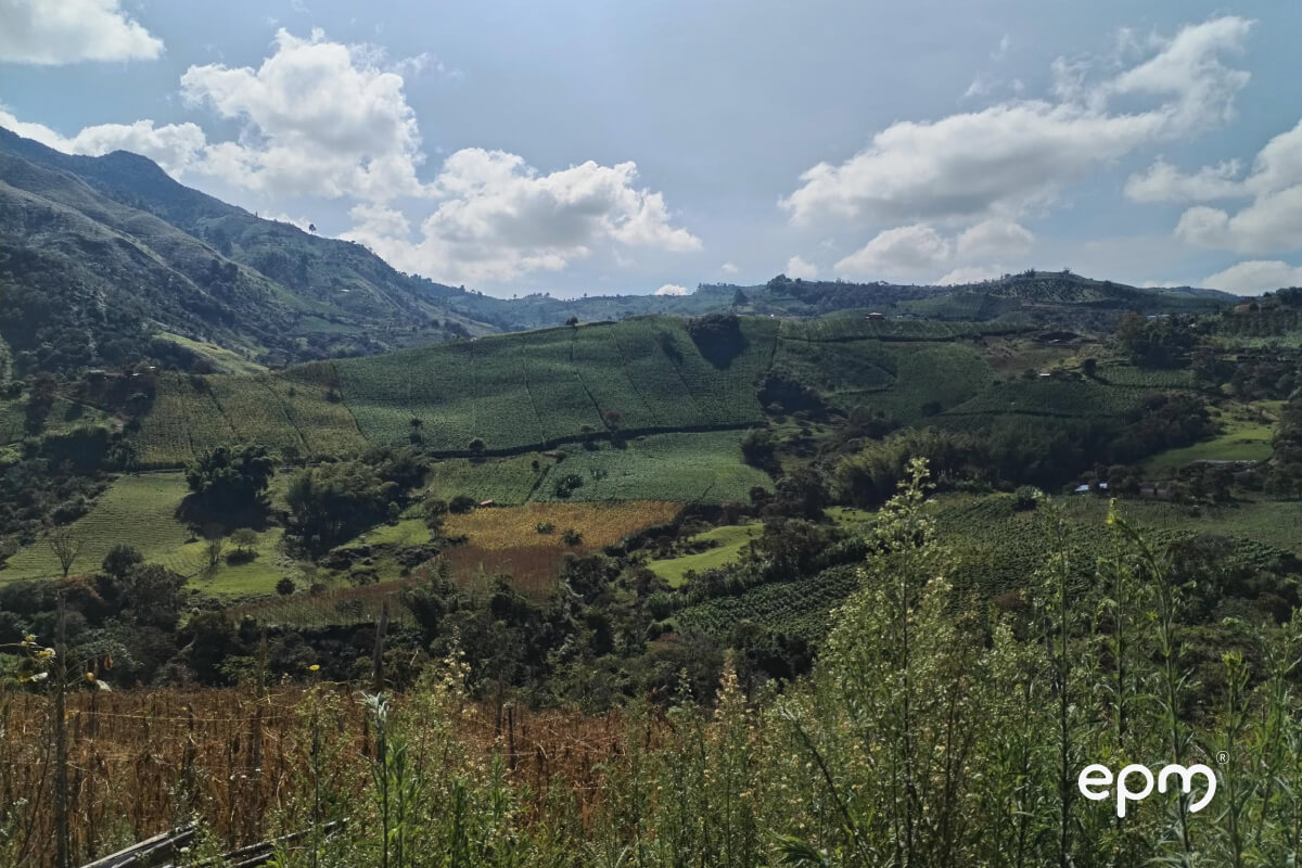Paisaje de montañas y cultivos en Barbosa, Antioquia, donde EPM implementa un proyecto para optimizar el suministro de agua en el municipio.