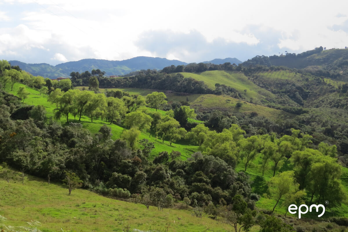 Protección medio ambiental
