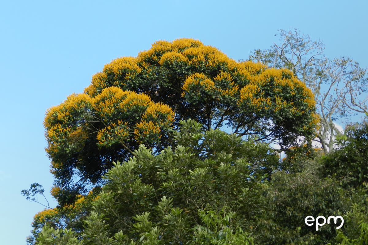 Protección medio ambiental