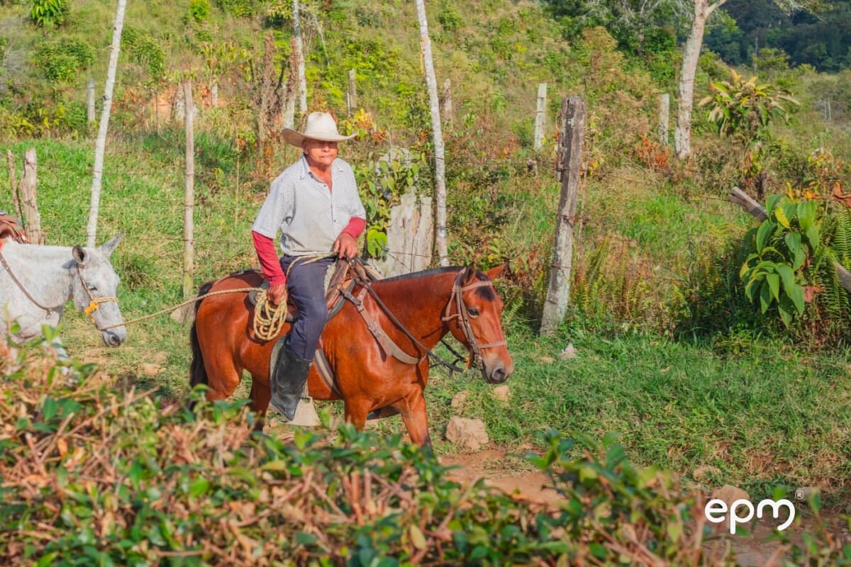 Fotografía de un hombre mayor montando un caballo en un camino rural rodeado de vegetación