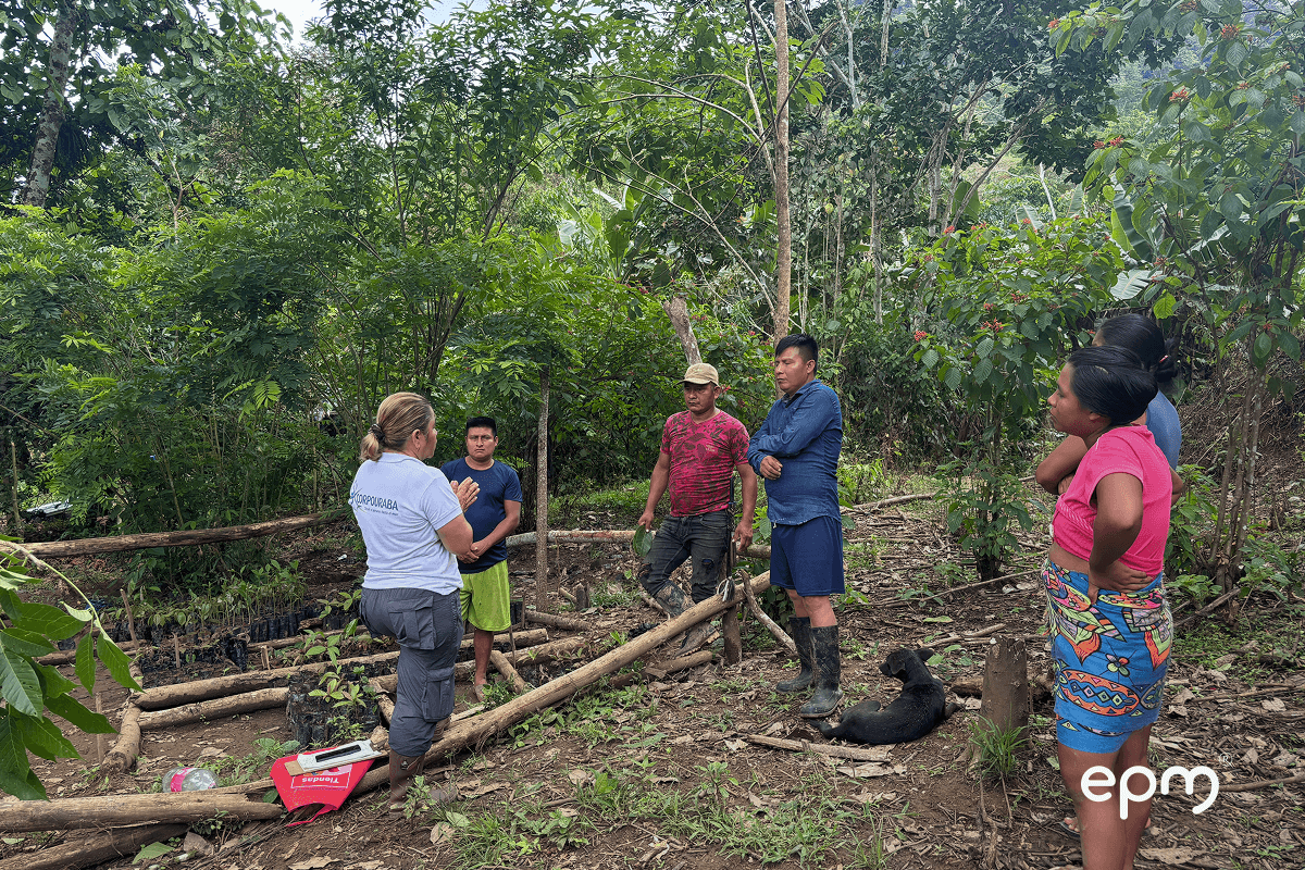 Fotografía de un grupo de hombres y mujeres indígenas escuchan a una instructora en un vivero forestal ubicado en un área rural rodeada de árboles