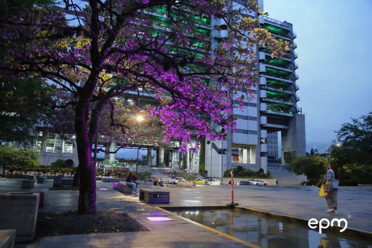 Escenario urbano por la tarde con un árbol en flor iluminado en tonos morados