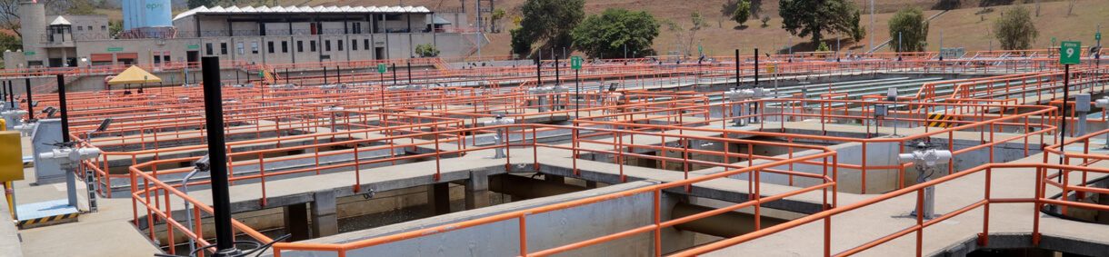 botón plantas de agua