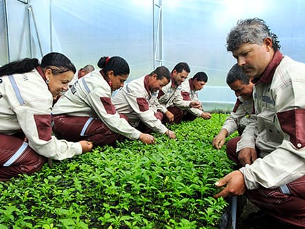 Personas agachadas sembrando plantas