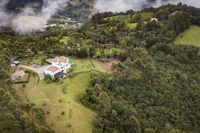 Vista aérea de una zona rural rodeada de árboles y casas
