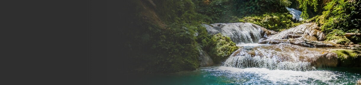 Río y arboles naturales