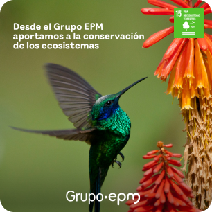 Colibrí tomando el néctar de una flor acompañado del texto "Desde el Grupo EPM aportamos a la conservación de los ecosistemas"