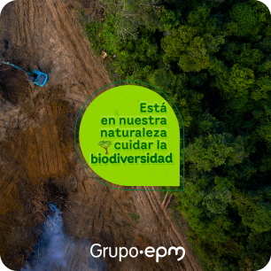 Toma aerea de un camino de tierra junto a un bosque con un globo de texto que dice "Está en nuestra naturaleza cuidar la biodiversidad"
