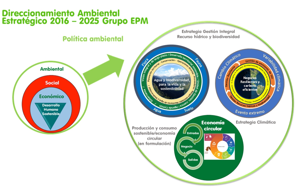 direccionamiento-ambiental-estrategico