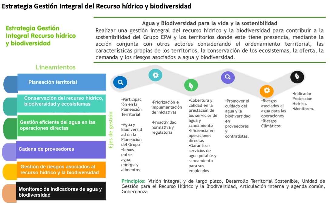 estrategia-gestion-integral