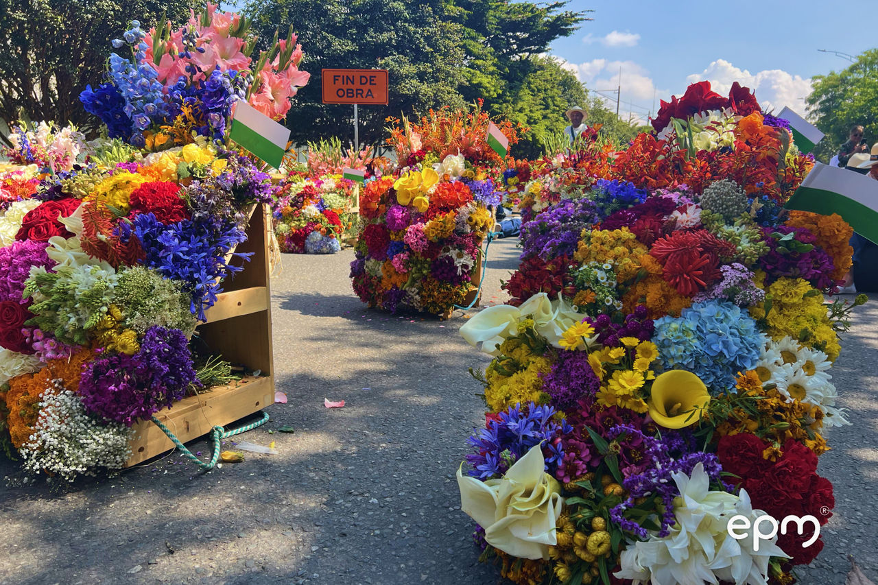 Arreglos florales multicolores exhibidos en una vía durante la Feria de las Flores de Medellín