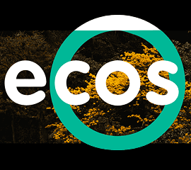 Ecos, semana ambiental hidroituango