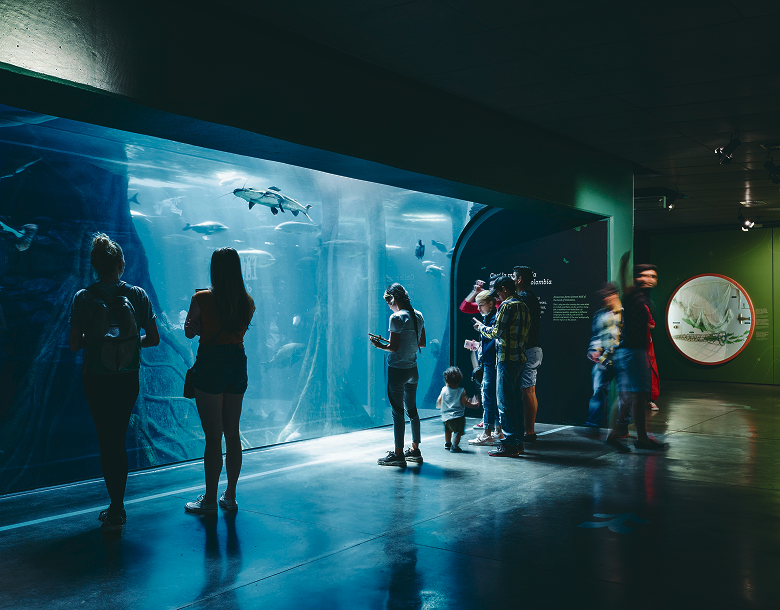 Grupo de personas disfrutando del acuario en el Parque Explora