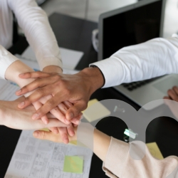 Committees of the Board of Directors and their regulations