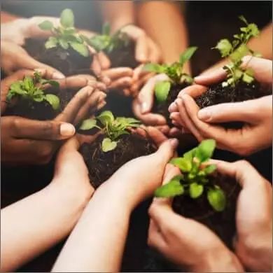 Unconditional is giving a hand to the planet