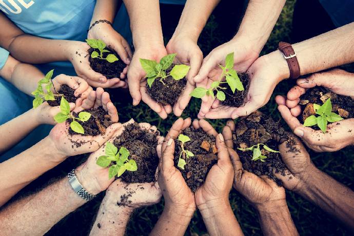 Fotografía de varias manos sosteniendo tierra con pequeñas plantas brotando de ella